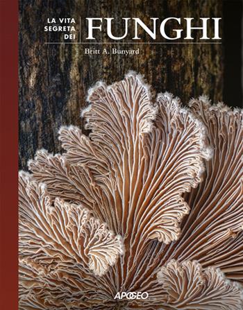 La vita segreta dei funghi - Britt A. Bunyard - Libro Apogeo 2025 | Libraccio.it