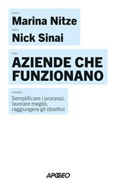 Aziende che funzionano. Semplificare i processi, lavorare meglio, raggiungere gli obiettivi