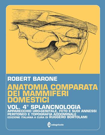 Trattato di anatomia comparata dei mammiferi domestici. Vol. 4: Splancnologia. Apparecchio uro-genitale. Feto e i suoi annessi. Peritoneo e topografia addominale. - Robert Barone - Libro Edagricole 2010 | Libraccio.it