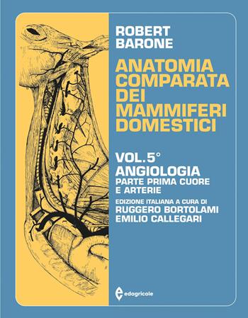 Trattato di anatomia comparata dei mammiferi domestici. Vol. 5/1: Angiologia. Cuore e arterie - Robert Barone - Libro Edagricole 2010 | Libraccio.it