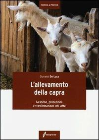 L' allevamento della capra. Gestione, produzione e trasformazione del latte - Giovanni De Luca - Libro Edagricole 2013, Tecnica & pratica | Libraccio.it