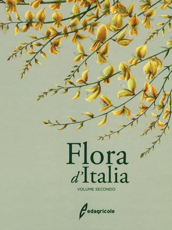 Flora d'Italia. Vol. 2 - Sandro Pignatti - Libro Edagricole 2017 | Libraccio.it