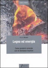 Legno ed energia. Come produrre energie con le biomasse legnose  - Libro Edagricole 2010, Tecnica & pratica | Libraccio.it