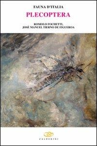 Plecoptera. Ediz. illustrata - Romolo Fochetti, Carlo A. Ravizza, Josè M. Tierno de Figueroa - Libro Edagricole 2010, Fauna d'Italia | Libraccio.it