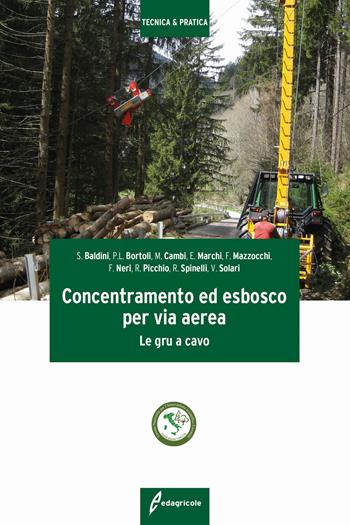Concentramento ed esbosco per via aerea. Le gru a cavo  - Libro Edagricole 2020, Tecnica & pratica | Libraccio.it