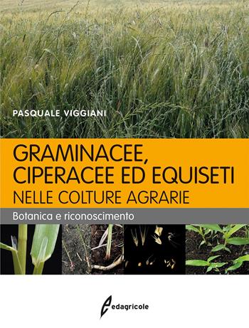 Graminacee, ciperacee ed equiseti nelle colture agrarie. Botanica e riconoscimento - Pasquale Viggiani - Libro Edagricole 2016 | Libraccio.it
