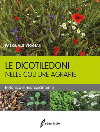 Le dicotiledoni nelle colture agrarie. Botanica e riconoscimento - Pasquale Viggiani - Libro Edagricole 2015, Manuali professionali | Libraccio.it