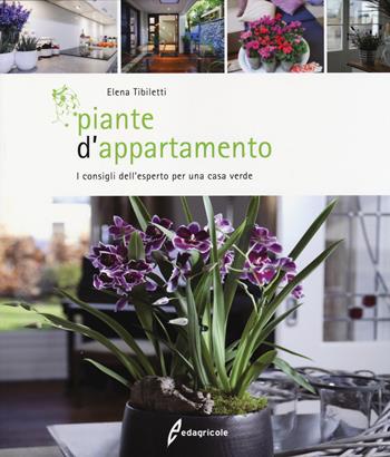 Piante d'appartamento. I consigli dell'esperto per una casa verde - Elena Tibiletti - Libro Edagricole 2014 | Libraccio.it