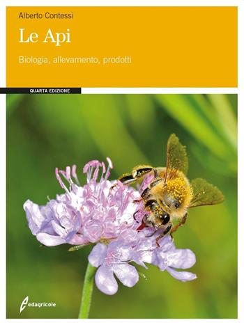 Le api. Biologia, allevamento, prodotti - Alberto Contessi - Libro Edagricole 2016 | Libraccio.it