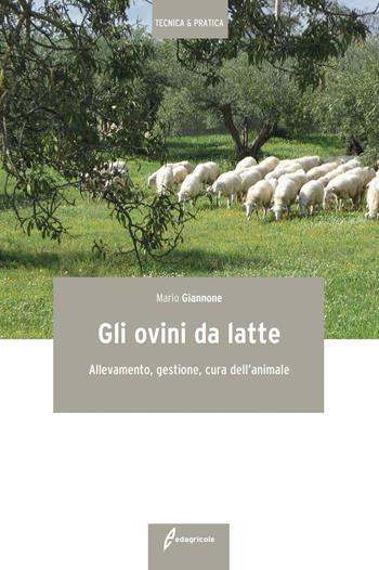 Gli ovini da latte. Allevamento, gestione, cura dell'animale - Mario Giannone - Libro Edagricole 2016 | Libraccio.it