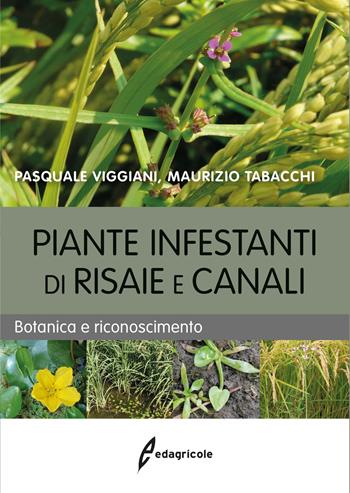 Piante infestanti di risaie e canali. Botanica e riconoscimento - Pasquale Viggiani, Maurizio Tabacchi - Libro Edagricole 2017, Manuali professionali | Libraccio.it