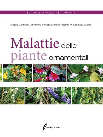 Malattie delle piante ornamentali - Angelo Garibaldi, Maria Lodovica Gullino, Domenico Bertetti - Libro Edagricole 2017, Università & formazione | Libraccio.it
