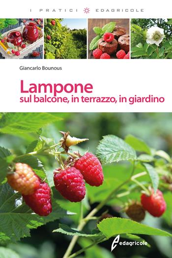 Lampone sul balcone, in terrazzo, in giardino - Giancarlo Bounous - Libro Edagricole 2018, I pratici | Libraccio.it