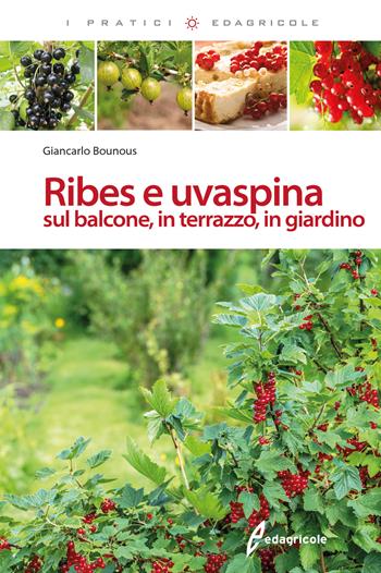 Ribes e uvaspina sul balcone, in terrazzo, in giardino - Giancarlo Bounous - Libro Edagricole 2018, I pratici | Libraccio.it
