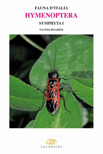 Hymenoptera. Symphyta. Vol. 1 - Fausto Pesarini - Libro Edagricole 2019, Fauna d'Italia | Libraccio.it