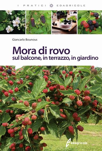 Mora di rovo sul balcone, in terrazzo, in giardino - Giancarlo Bounous - Libro Edagricole 2018, I pratici | Libraccio.it