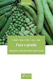 Fava e pisello. Coltivazione, scelta delle cultivar e post-raccolta