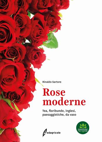 Rose moderne. Tea, floribunde, inglesi, paesaggistiche, da vaso - Rinaldo Sartore - Libro Edagricole 2020, Passione in verde | Libraccio.it