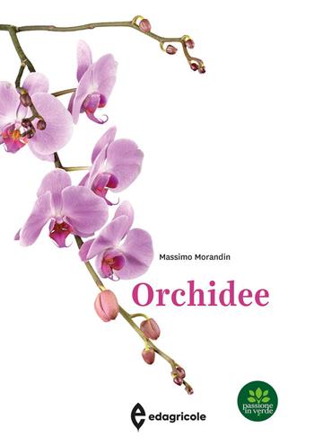 Orchidee - Massimo Morandin - Libro Edagricole 2023 | Libraccio.it