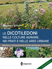 Le dicotiledoni nelle colture agrarie, nei prati e nelle aree urbane. Botanica e riconoscimento di erbe spontanee e infestanti