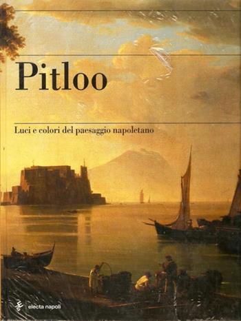 Pitloo - Marina Causa Picone, Stefano Causa - Libro Electa Napoli 2004 | Libraccio.it