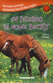 Un puledro di nome Becky. S.O.S. cuccioli