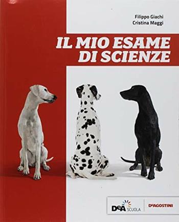 Il mio esame di scienze. - Filippo Giachi, Cristina Maggi - Libro De Agostini 2018 | Libraccio.it