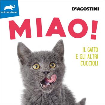 Miao! Il gatto e gli altri cuccioli. Ediz. a colori  - Libro De Agostini 2020, Animal planet | Libraccio.it
