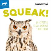 Squeak! La civetta e gli animali notturni. Ediz. a colori