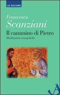 Il cammino di Pietro. Meditazioni evangeliche - Francesco Scanziani - Libro Ancora 2010, Le ancore | Libraccio.it