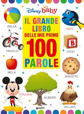 Il grande libro delle prime 100 parole