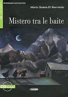 Mistero tra le baite. Con File audio scaricabile on line - M. Grazia Di Bernardo - Libro Black Cat-Cideb 2013, Imparare leggendo | Libraccio.it