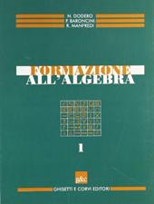 Formazione all'algebra. Per il biennio delle Scuole superiori. Vol. 1
