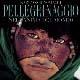 Pellegrinaggio. Ediz. illustrata - Kazuyoshi Nomachi - Libro White Star 2005, Grandi reportage | Libraccio.it
