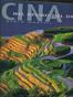 Cina. Nel regno del drago - Marco Moretti - Libro White Star 2005, Il vagabondo | Libraccio.it