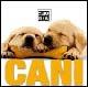 Cani. Ediz. illustrata