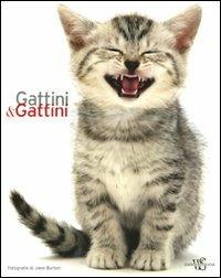 Gattini & gattini. Ediz. illustrata - Jane Burton - Libro White Star 2010, Animali da compagnia | Libraccio.it