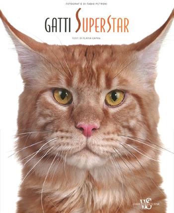 Gatti superstar. Ediz. illustrata - Flavia Capra, Fabio Petroni - Libro White Star 2012 | Libraccio.it