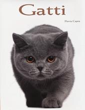 Gatti. Ediz. illustrata