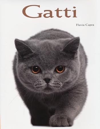 Gatti. Ediz. illustrata - Flavia Capra - Libro White Star 2013, Animali da compagnia | Libraccio.it