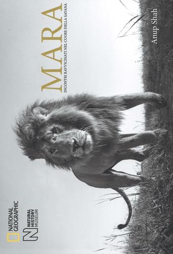 Mara. Incontri ravvicinati nel cuore della savana. Ediz. illustrata - Anup Shah - Libro White Star 2016 | Libraccio.it