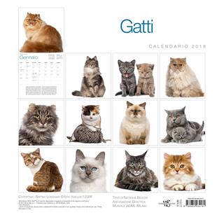 Gatti. Calendario da muro 2018. Ediz. illustrata  - Libro White Star 2017 | Libraccio.it