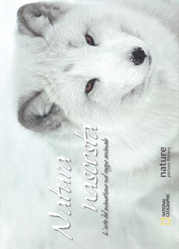 Natura nascosta. L'arte del mimetismo nel regno animale. Ediz. illustrata - Anna Levin - Libro White Star 2017 | Libraccio.it