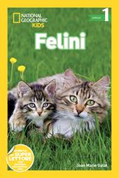 Felini. Livello 1. Ediz. a colori