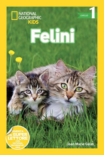 Felini. Livello 1. Ediz. a colori - Joan Marie Galat - Libro White Star 2018, National Geographic Kids | Libraccio.it