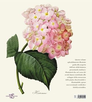 L'arte botanica nei secoli. Dagli erbari rinascimentali al XIX secolo. Ediz. a colori - Andrea Accorsi, Giuseppe Brillante, Elena Percivaldi - Libro White Star 2018, Arte e archeologia | Libraccio.it
