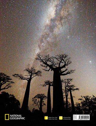 Alberi tra cielo e terra. Ediz. a colori - Art Wolfe, Gregory McNamee - Libro White Star 2018, Fotografia | Libraccio.it