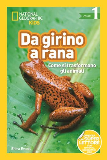 Da girino a rana. Come si trasformano gli animali. Livello 1. Diventa un super lettore. Ediz. a colori - Shira Evans - Libro White Star 2019, National Geographic Kids | Libraccio.it