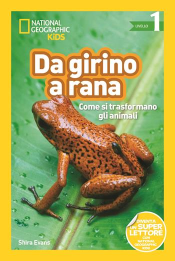 Da girino a rana. Come si trasformano gli animali. Livello 1. Diventa un super lettore. Ediz. illustrata - Shira Evans - Libro White Star 2019, National Geographic Kids | Libraccio.it