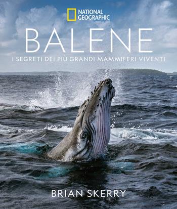 Balene. I segreti dei più grandi mammiferi viventi. Ediz. a colori - Brian Skerry - Libro White Star 2021, Fotografia | Libraccio.it
